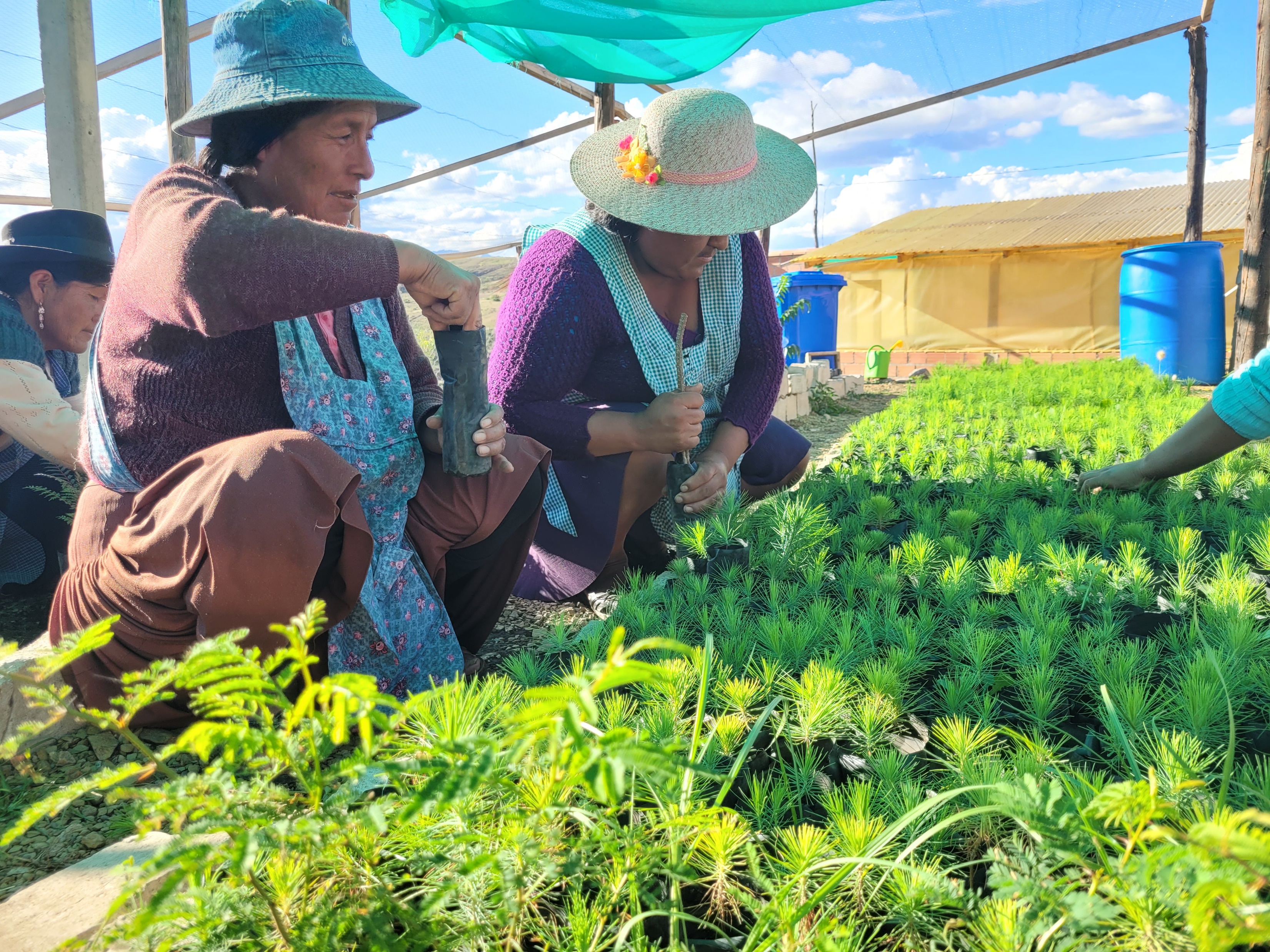 Fundación de NOR SUD 1992